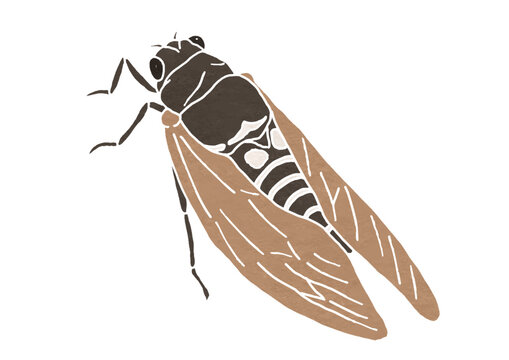 セミの斜め向きイラスト（版画風）