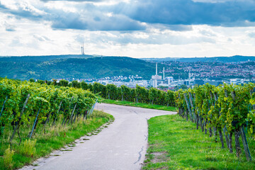 Fototapeta na wymiar Germany, Stuttgart city arena industry houses skyline behind green vineyard with dark clouds dramatic sky panorama nature landscape springtime