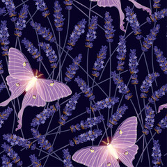 Dry lavender and moon moth vector seamless pattern