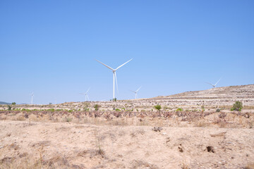 Wind power becomes the leading energy source in Spain