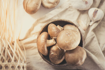 Fresh Shiitake Mushrooms