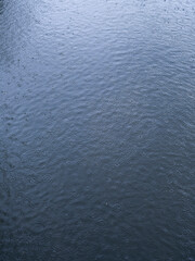 rain falling on the pond in forest