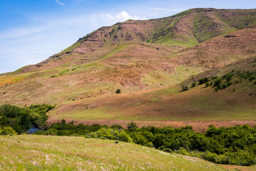 Grass Covered Mountains at Hells Canyon National Recreation Area