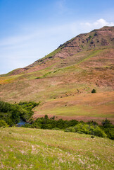 Obraz premium Grass Covered Mountains at Hells Canyon National Recreation Area