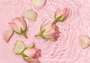 Spring creative layout with pink roses floating in water over pastel pink background. 80s or 90s...