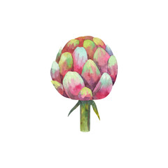 cute flower , home plants. Cute childish illustration