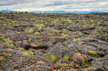 Sparse Landscape of Craters of the Moon National Monument and Preserve in Idaho