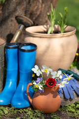 Garden tools and flowers on the grass