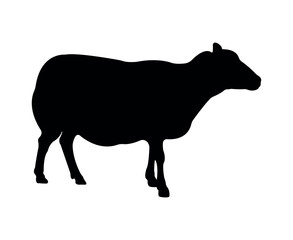 Vector flat sheep silhouette isolated on white background