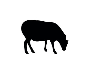 Vector flat sheep silhouette isolated on white background