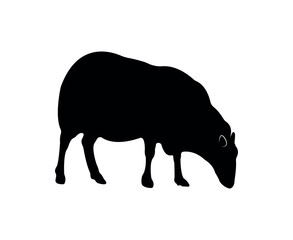Vector flat sheep silhouette isolated on white background
