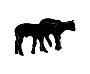 Vector flat sheep silhouette isolated on white background