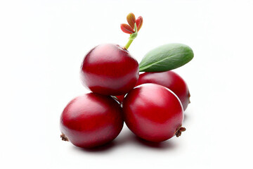 cranberry isolated on white background