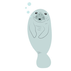 Cute cartoon manatee isolated on white background. Hand drawn vector illustration of Sea cow. 