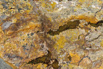 texture of  limonite stone gemology