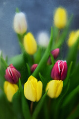 Colorful tulips Through Blurred Glass in frame