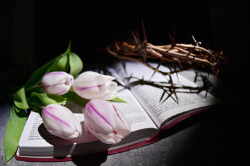 Closeup Crown of thorns and Tulips on Open Bible - 595834743