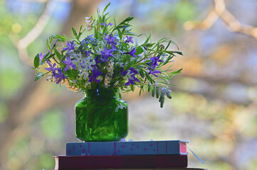 Spring Colorful Flowers in Vase near Window - 595834762