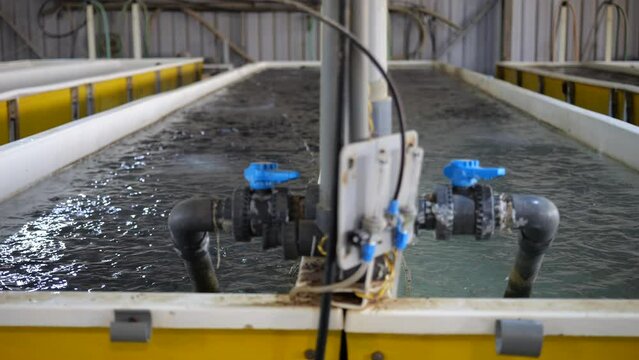 Water tanks in aquaculture facility, establishing shot of aqua farm