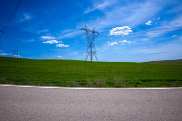Fototapeta na wymiar Green Wheat field, Blue sky and high voltage line