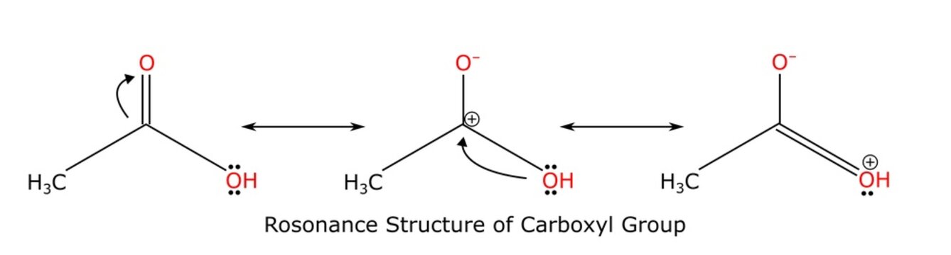 Carboxylic Acid Resonance Chemical Structure Chemistry Diagram Illustration Science