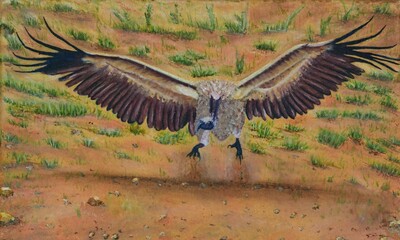 Brown Vulture Bird. Beautiful Oil Painting of Bird. Isolated painting of Exotic Birds. Endangered Animal Abstract Paintings Wallpaper. Bird in Flight