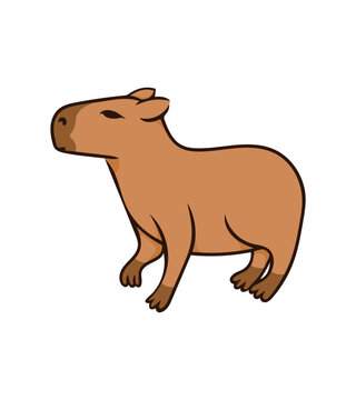 Vector image of cute capybara. Illustration isolated on white background. Design element for clothing menu design stationery posters. Simple illustration