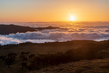 Sunset above mist from Fanal in Madeira