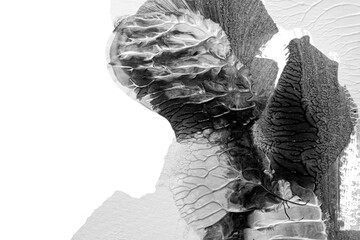 black white abstract acrylic painting color texture on white paper background by using rorschach inkblot method