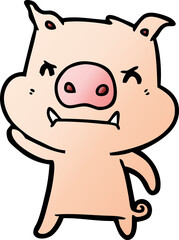 angry cartoon pig