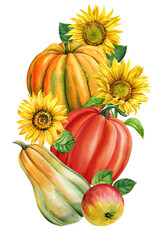 Pumpkin and sunflowers, autumn colored pumpkins on isolated white background, watercolor illustration, hand drawing