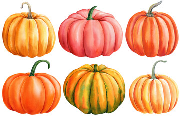 Orange pumpkins set on isolated white background, watercolor illustration, hand drawing clipart