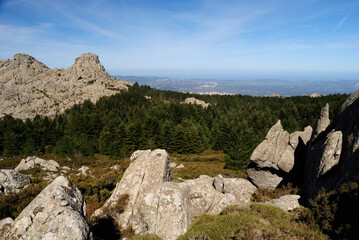 Fototapeta na wymiar Le cime granitiche del Monte Limbara