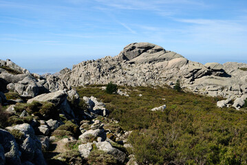 Le cime granitiche del Monte Limbara