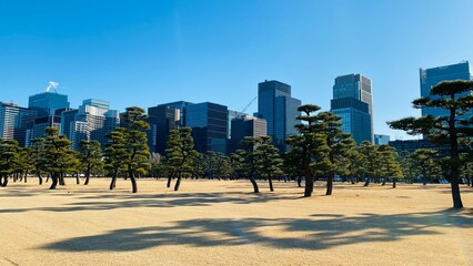 千代田区　皇居から眺めた松並木と丸の内ビル群