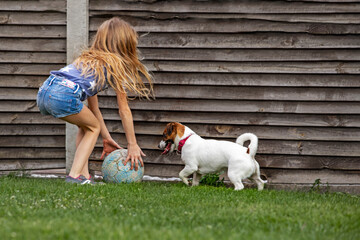 girl with long hair plays ball with jack russell terrier. family weekend.