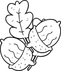 freehand drawn black and white cartoon acorns