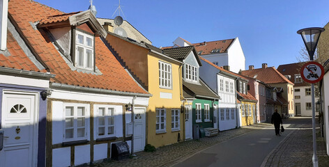 Aaborg city houses
