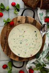 okroshka, a traditional Russian cold soup
