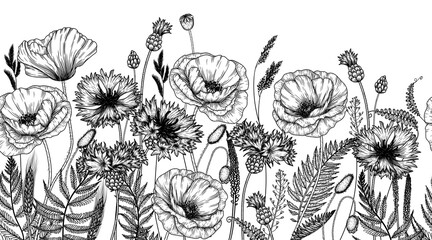 Seamless horizontal vector pattern wild flowers in engraving style. Poppies, cornflowers, fern