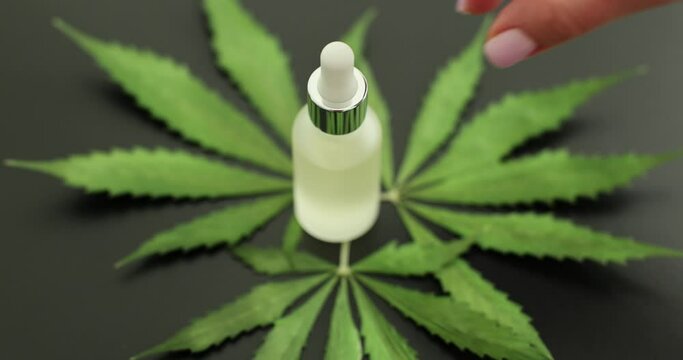 Glass bottle with marijuana oil and hemp leaves. Hemp oil for body and face