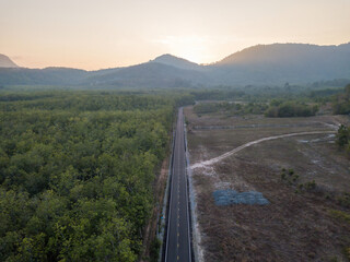 Road aerial of top view. top view of rubber plantation  road. Top view street road during sunset.