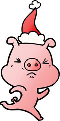 hand drawn gradient cartoon of a annoyed pig running wearing santa hat