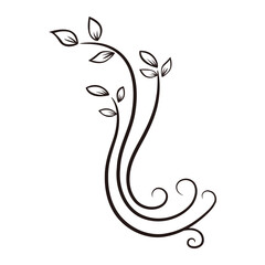 Flower or tree silhouette icon.
