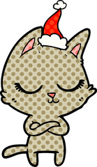 calm hand drawn comic book style illustration of a cat wearing santa hat