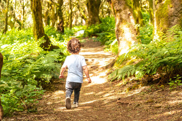 Boy walking in the natural park of La Llania in El Hierro, Canary Islands. On a path of laurel from El Hierro in a lush green landscape