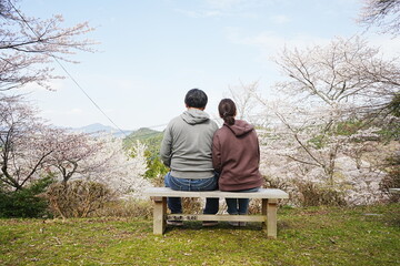 Couple  snuggle over Pink Sakura or Cherry Blossoms Flower Background. Yoshino-yama or Mount Yoshino in Nara, Japan. Image of Spring Season  - 日本 奈良 吉野山 桜 寄りそうカップル