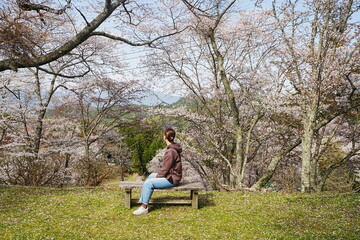 Naklejka na ściany i meble Woman Sitting and Relaxing over Pink Sakura or Cherry Blossoms Background. Image of Spring Season in Japan - 日本 奈良 吉野山 桜 座る女性