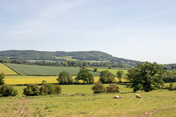 Fototapeta na wymiar Summertime rural landscape in the UK.