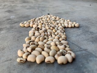 A Arrow is created from a collection of soybean seeds